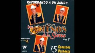 Los Alteños De La Sierra 15 Corridos PerronesDisco Completo 2008 [upl. by Pederson]