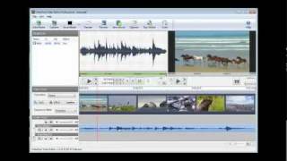 VideoPad Video Editing Software  Tutorial v212 [upl. by Adina947]