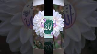 islamic gojol allah name status islamicstatus ytshort foryou support me subscribe plz [upl. by Anilegnave]