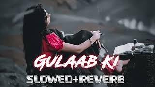 Gulaab ki Hindi song 2024  SlowedReverb New Hindi Song [upl. by Demetrius]