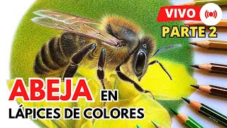 Como DIBUJAR una ABEJA Realista LÁPICES DE COLORES  Parte 2  How to DRAW a realistic BEE 🐝 [upl. by Swec314]