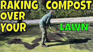 RENOVATING a SEEDED LAWN 6 Months old Its EASY [upl. by Naiviv]