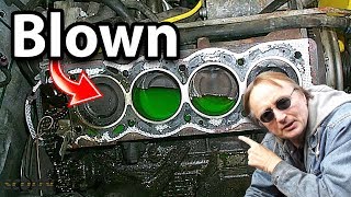 How to Tell if Your Head Gasket is Blown [upl. by Brande403]