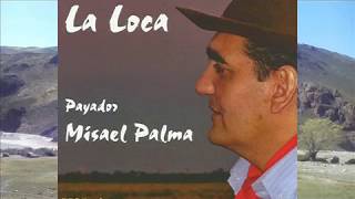 La Tapera del Ahorcao  Payador Misael Palma [upl. by Lee]