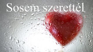 Szabó AtisFeatDombóampAIMusic Sosem szerettél [upl. by Sunev]