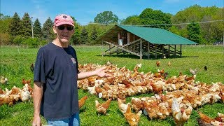 Joel Salatin Style Coops Updated with Best Nest Box [upl. by Noiroc]