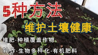 💯如何有效改善土壤生态环境❓怎么预防病虫害发生❓土壤养分流失怎么办❓不想每年买土搬土⁉️🥰不花钱也可以养好地😘土壤维护5种方法5 ways to maintain healthy soil [upl. by Joslyn]