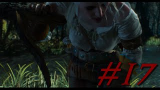 The Witcher 3 ─ 17 ─ Ciri Enfant de Sang Ancien  FR  Info Livres [upl. by Mcgrody863]