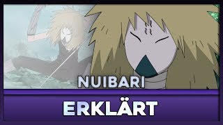 Das Nuibari  Erklärt  AniMeep [upl. by Silvain]