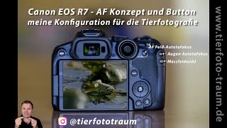 EOS R7 Buttons Konfiguration und AF Konzept [upl. by Belding493]