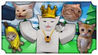 UN SIMULATORE DOVE COLLEZIONI I GATTI MEME SU ROBLOX [upl. by Eirruc]