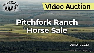 Pitchfork Ranch Horse Sale [upl. by Pence]