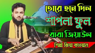 তোরে হনে দিল শাপলা ফুল বাবা জিয়াউল Bhandari Song 2024 শিল্পী জিয়া কাওয়াল bb Bhandari gaan 72 [upl. by Ellatsirhc749]