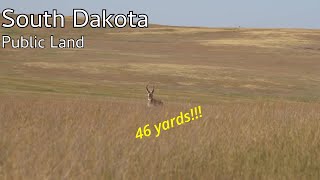 Antelope Archery HUNT in South Dakota Self Filmed [upl. by Monahan]