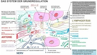 PischingerRaum  Weiches Bindegewebe  System der Grundregulation [upl. by Akienom]