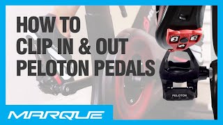 How To Clip In amp Out Your Peloton Bike Pedals  Tips And Tricks For Peloton Riders [upl. by Satsok128]