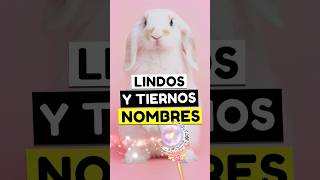 lindos nombres para conejitas🐇🐇 que te sorprenderán conejitas conejos nombresparaconejitas [upl. by Trescott576]