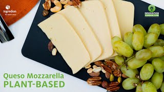 Queso Mozzarella PlantBased [upl. by Biel]