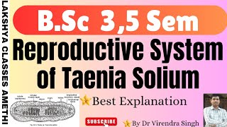 Reproductive System of Taenia Solium  For BSc 5 Sem and other competitive examination etc [upl. by Ennayr]