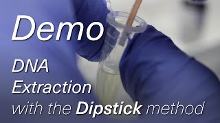 Extracting DNA in 30 Seconds using the Dipstick Method Demo [upl. by Aikel]