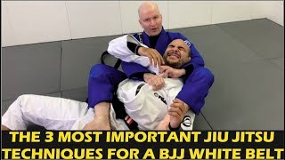 The 3 Most Important Jiu Jitsu Techniques For A BJJ White Belt by John Danaher [upl. by Ylatan417]