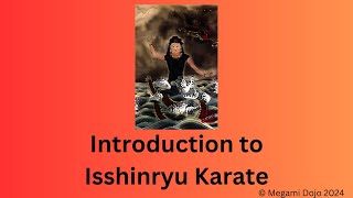 Introduction to Isshinryu Karate [upl. by Pearson]