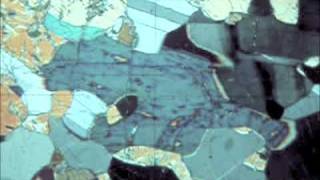 Optical Mineralogy hornblende inclined extinction plagioclase [upl. by Serene]