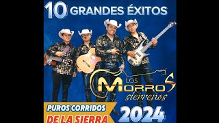 10 éxitos de los Morros sierreños  puros corridos de la sierra 2024 [upl. by Polash]