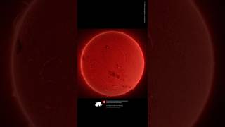 What does a coronal Loops look like X Class Solar Coronal Loops in Halpha Filter 073024 [upl. by Debora]