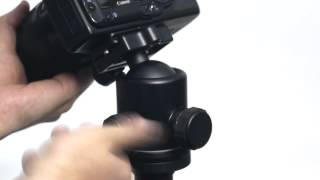 BENRO Pro Ball Head B3 自由雲台 muk Cameraservice muk 032 [upl. by Rothschild913]