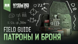 Field Guide 3 Патроны и Броня [upl. by Bradwell]