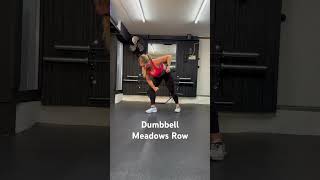 Dumbbell Meadows Row [upl. by Noj]