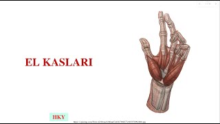 10 El Kasları [upl. by Ellehcrad638]