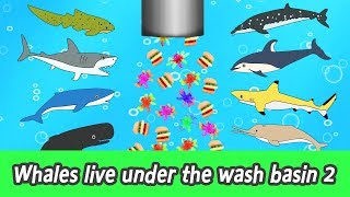 EN Whales live under the wash basin 2 kids animals animation whales adventureㅣCoCosToy [upl. by Rona]