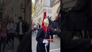 One of the twin Lady Guard royalhorseguard horse tourist travel buckinghampalace [upl. by Ronacin624]