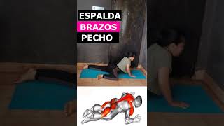 EJERCICIO PARA ESPALDA BRAZOS Y PECHO [upl. by Terces]