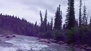 Windy Creek and Jack River Packrafting [upl. by Latashia]