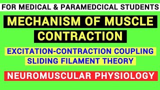 EXCITATION  CONTRACTION COUPLING  SLIDING FILAMENT THEORY  NEUROMUSCULAR SYSTEM  PHYSIOLOGY [upl. by Ravilob]