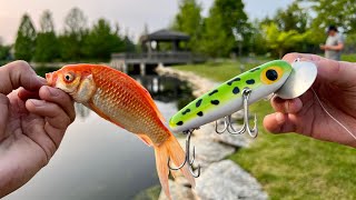 Fishing with the STRANGEST BAITS from a LOCAL TACKLE SHOP Not what I Expected [upl. by Oby840]