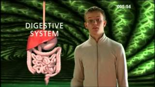 Cell Tissue Organ System Organism  BBC Curriculum Bites [upl. by Airliah]