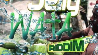 Jelly Wata Riddim Mix  DJ Frass Records  March 2015 [upl. by Notsuj]