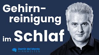 Gehirnreinigung im Schlaf  Glymphatisches System  Dr Dr Damir del Monte  Hirnwelten [upl. by Orimar]