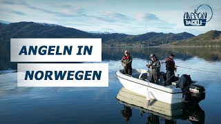 Angeln in Norwegen  Mit Nippon Tackle im Fjord [upl. by Tteirrah]