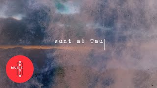 Ana Florea  Sunt al Tau Rooftops  Cover [upl. by Sillert]