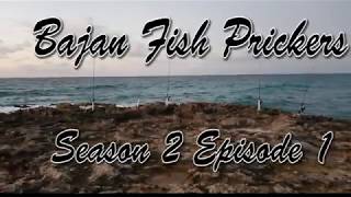 Bajan Fish Prickers Season 2 Episode 1 [upl. by Nadaha]