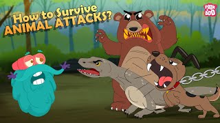 How to Survive Animal Attacks  Bear Dog Shark Komodo Dragon amp Giant Squid  The Dr Binocs Show [upl. by Carla]