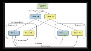 homology terms [upl. by Einiffit]