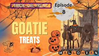 Trick or Treat Episode 8 BarnBairnGoatMilkSoap [upl. by Bannasch]