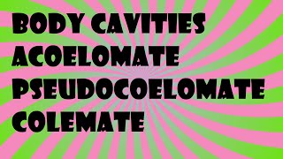 Biology Body Cavities Acoelomate Pseudocoelomate Colemate [upl. by Wittenburg]