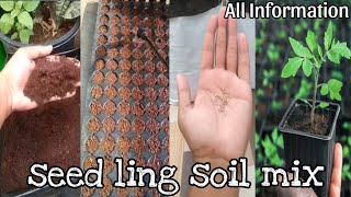 All plants seed lings soil mix and all information vidma [upl. by Ayenat]